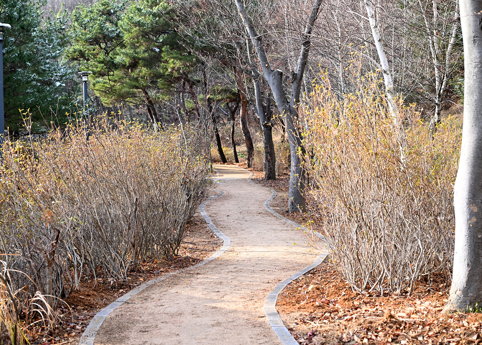 월롱시민공원 맨발산책로