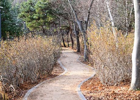 월롱시민공원 맨발산책로 개장식(2024. 11. 29)_7