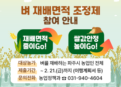 벼 재배면적 조정제 참여 안내 / 재배면적 줄이GO! 쌀값안정 높이GO! / 대상농가: 벼를 재배하는 파주시 농업인 전체, 제출기간: ~ 2. 21.(금)까지 (이행계획서 등), 문의전화: 농업정책과 ☎031-940-4604