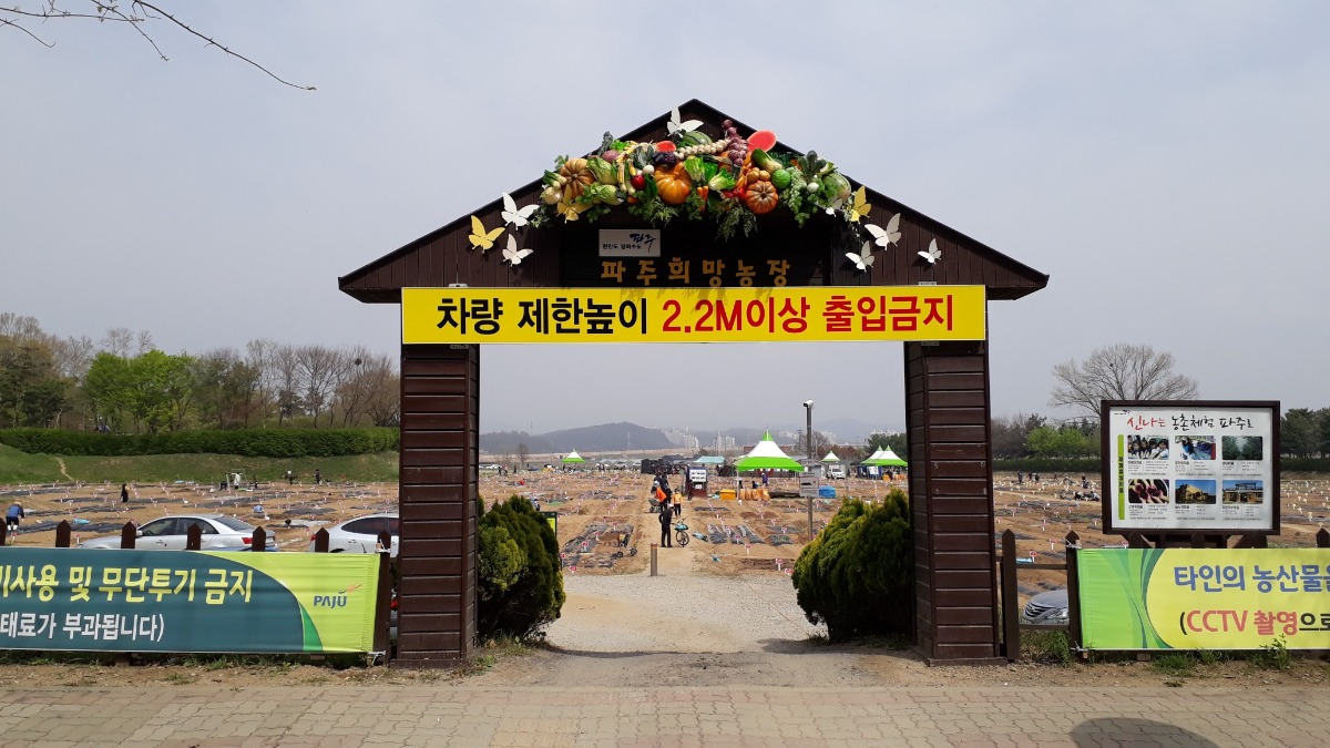 금촌 주말농장 전경(사진 제공: 권현숙 시민기자)