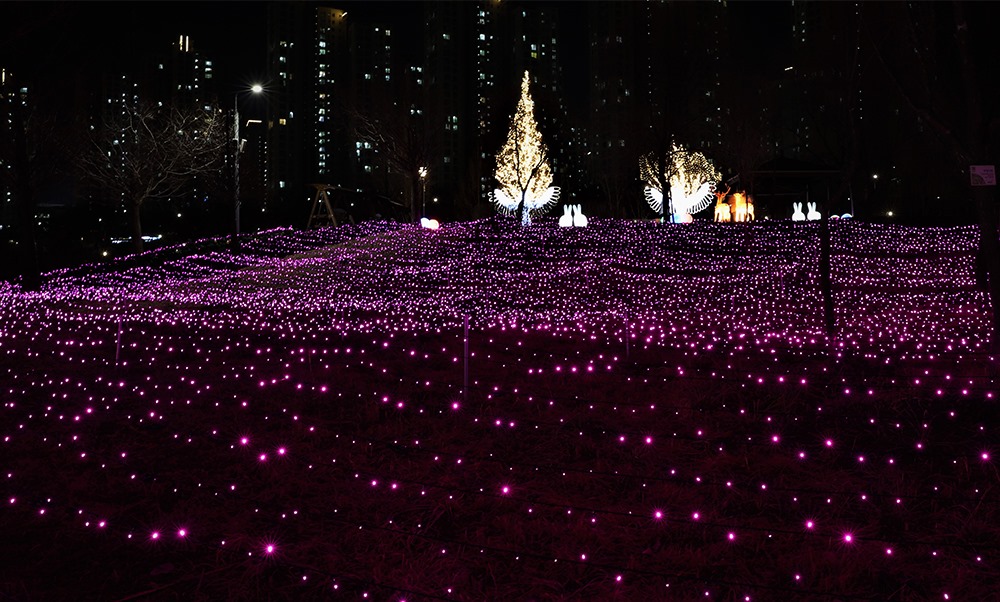 수백개의 LED전구가 빛나는   평화의 존 언덕